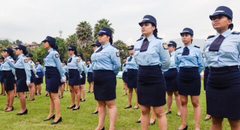 agentes de transito