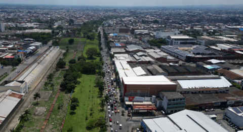 Juzgado negó medida cautelar contra actividades de Feria de Cali en zona de la calle 25 | 'No se tocará ningún árbol, ya no se reubicarán': Alcaldía