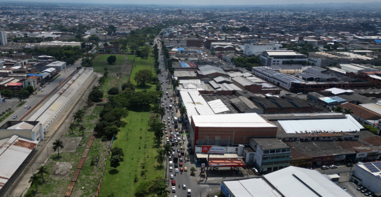 Juzgado negó medida cautelar contra actividades de Feria de Cali en zona de la calle 25 | 'No se tocará ningún árbol, ya no se reubicarán': Alcaldía