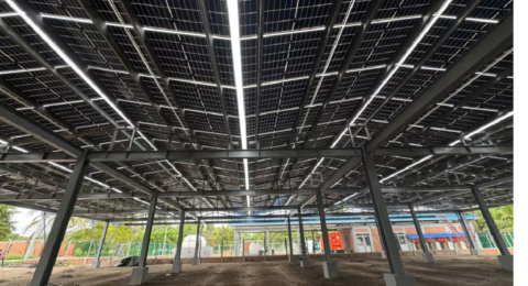 Cartagena| Inauguran en Isla Grande una Granja Agrovoltaica: generación de energía solar y aprovechamiento del suelo para la seguridad alimentaria