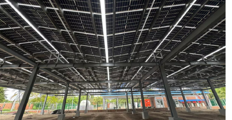 Cartagena| Inauguran en Isla Grande una Granja Agrovoltaica: generación de energía solar y aprovechamiento del suelo para la seguridad alimentaria