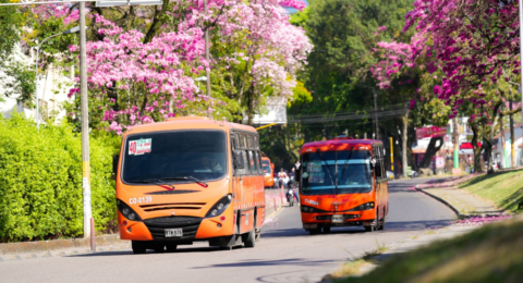 Estas son las nuevas tarifas de bus en Ibagué, Tolima: el pasaje subió 400 pesos y el alza quedó 10 puntos por debajo del salario mínimo en Colombia