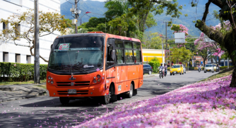 Usuarios en Ibagué estallan por alza de 400 pesos en el pasaje de bus, anuncian protestas y señalan a la Alcaldía por subir tarifas sin concertación
