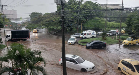 Emergencias por inundaciones en Cali, en videos | Caída de árboles, vendavales, daños en casas y conductores atrapados por el agua, tras lluvias