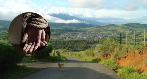 Alerta en zona rural de Jamundí, Valle: disidentes robaron una tractomula con maquinaria amarilla y tienen secuestrados a su conductor y al ayudante