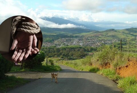 Alerta en zona rural de Jamundí, Valle: disidentes robaron una tractomula con maquinaria amarilla y tienen secuestrados a su conductor y al ayudante