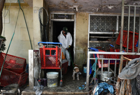 Más de 80 carritos de Olímpica y media tonelada de basura: estas son las imágenes del interior de la polémica ‘Casa de los Gatos’ en Barranquilla