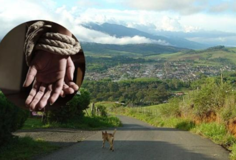 Denuncian secuestro de cuatro jóvenes en un parque de una zona rural de Jamundí: la Alcaldía municipal confirmó el hecho y familias piden liberación