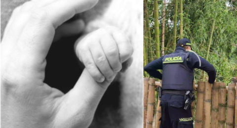 Hallan a un bebé prematuro sin vida en un andén en Antioquia: un vecino escuchó los gritos de una mujer la noche anterior; investigan qué ocurrió