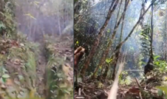 El Ejército evitó nuevos atentados del Eln al desactivar ocho explosivos ocultos cerca de un camino transitado por la comunidad de Anorí, Antioquia