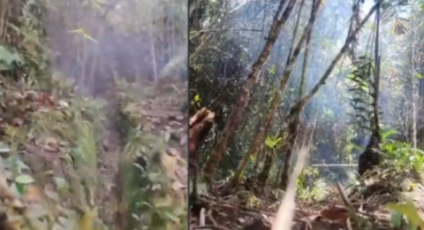 El Ejército evitó nuevos atentados del Eln al desactivar ocho explosivos ocultos cerca de un camino transitado por la comunidad de Anorí, Antioquia