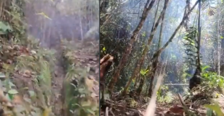 El Ejército evitó nuevos atentados del Eln al desactivar ocho explosivos ocultos cerca de un camino transitado por la comunidad de Anorí, Antioquia