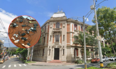 Los millonarios pagos detrás de los métodos de fraude descubiertos en los exámenes de admisión para especializaciones en la Universidad de Antioquia