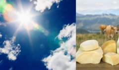 ¿Subirán los precios de la leche y el queso por el fenómeno de El Niño en Colombia? Ganaderos advierten del impacto: 'Esto es muy preocupante'