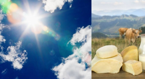 ¿Subirán los precios de la leche y el queso por el fenómeno de El Niño en Colombia? Ganaderos advierten del impacto: 'Esto es muy preocupante'