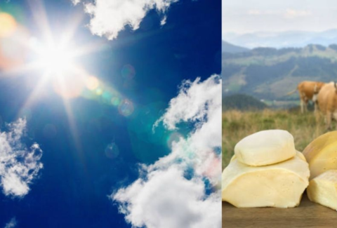 ¿Subirán los precios de la leche y el queso por el fenómeno de El Niño en Colombia? Ganaderos advierten del impacto: 'Esto es muy preocupante'