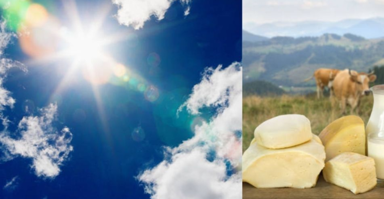 ¿Subirán los precios de la leche y el queso por el fenómeno de El Niño en Colombia? Ganaderos advierten del impacto: 'Esto es muy preocupante'