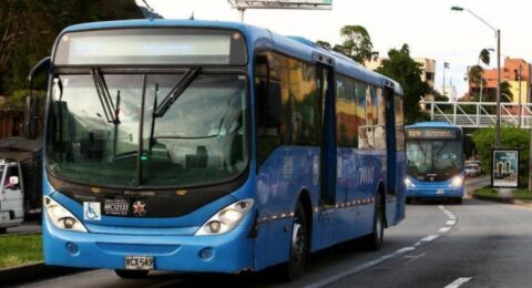 Ojo, estas son las rutas del MIO que funcionarán este domingo de elecciones para que los ciudadanos puedan ir a los puestos de votación en Cali