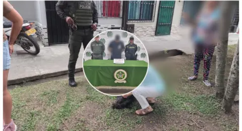 Indignación por brutal asesinato de 'Bruno', un canino que habría sido golpeado por un hombre de 32 años: autoridades piden aplicar la Ley Ángel