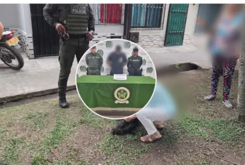 Indignación por brutal asesinato de 'Bruno', un canino que habría sido golpeado por un hombre de 32 años: autoridades piden aplicar la Ley Ángel