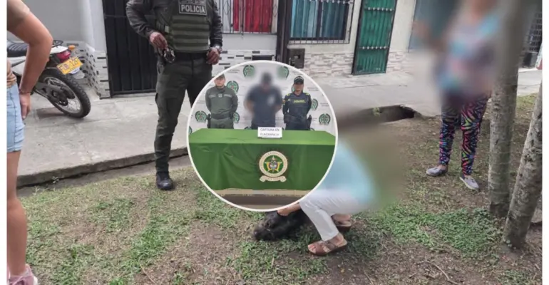 Indignación por brutal asesinato de 'Bruno', un canino que habría sido golpeado por un hombre de 32 años: autoridades piden aplicar la Ley Ángel