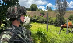 Autoridades de Nariño investigan amenazas de grupo armado contra campesinos previo a elecciones presidenciales: ‘Se va a exigir certificado electoral’