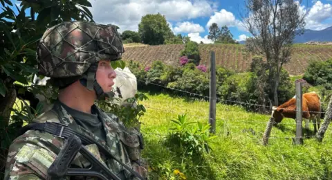 Autoridades de Nariño investigan amenazas de grupo armado contra campesinos previo a elecciones presidenciales: ‘Se va a exigir certificado electoral’