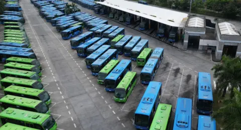 El MIO recupera terreno: el ambicioso plan que promete 340 buses para reducir esperas y mejorar la movilidad de los caleños