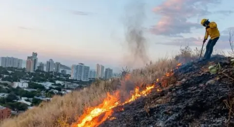 Santa Marta rompe récord de temperaturas y el calor extremo obliga a declarar calamidad pública: se encienden alertas por salud, agua e incendios