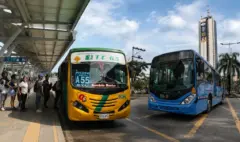 ¿Qué pasará con el transporte tradicional en Cali? Metro Cali aclara el futuro de los buses colectivos