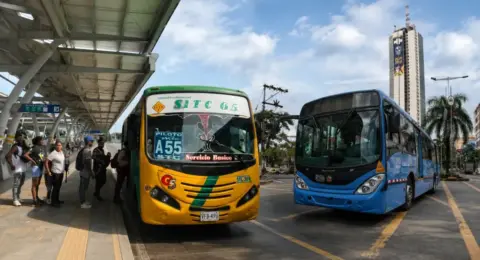 ¿Qué pasará con el transporte tradicional en Cali? Metro Cali aclara el futuro de los buses colectivos