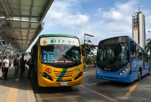 ¿Qué pasará con el transporte tradicional en Cali? Metro Cali aclara el futuro de los buses colectivos