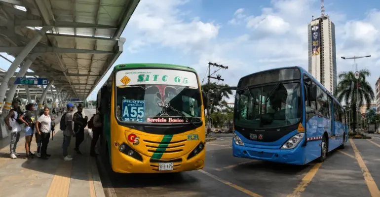 ¿Qué pasará con el transporte tradicional en Cali? Metro Cali aclara el futuro de los buses colectivos