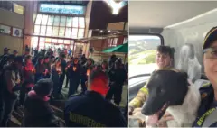 Comandante de Bomberos lucha por su vida tras brutal golpiza por reclamar a hombre que recogiera heces de su perro en Tunja: sufrió fractura de cráneo