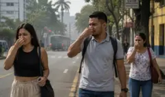 ¿De dónde proviene el mal olor que tiene 'asfixiados' al oriente y sur de Cali? La autoridad ambiental lanzó una plataforma para identificarlo