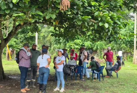 El histórico regreso a Tulapas: 12 familias antioqueñas recuperan las tierras que les despojaron los hermanos Castaño hace 30 años