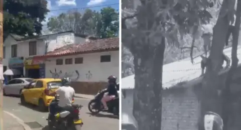 Fuga en el centro transitorio carcelario de Popayán quedó en videos: 'Habían intentado escapar por el techo, pero ninguno pudo huir'