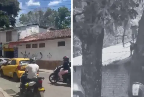 Fuga en el centro transitorio carcelario de Popayán quedó en videos: 'Habían intentado escapar por el techo, pero ninguno pudo huir'