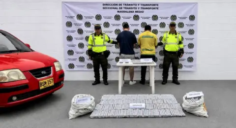 Incautan 600 barras de Indugel, explosivo de alto poder destructivo: frustran posible atentado en Santander, investigan en dónde iba a ser utilizado