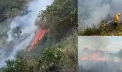 Gobernador de Cundinamarca, Jorge Emilio Rey, reporta que siete incendios forestales son atendidos en cinco municipios del departamento