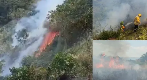 Gobernador de Cundinamarca, Jorge Emilio Rey, reporta que siete incendios forestales son atendidos en cinco municipios del departamento