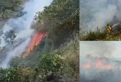 Gobernador de Cundinamarca, Jorge Emilio Rey, reporta que siete incendios forestales son atendidos en cinco municipios del departamento