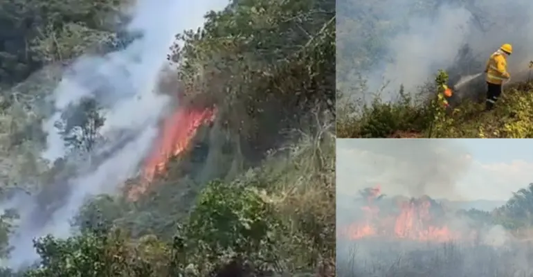 Gobernador de Cundinamarca, Jorge Emilio Rey, reporta que siete incendios forestales son atendidos en cinco municipios del departamento