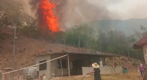 En una vereda del Tolima el fuego se reavivó, estuvo cerca de alcanzar viviendas y las familias escaparon milagrosamente de las llamas