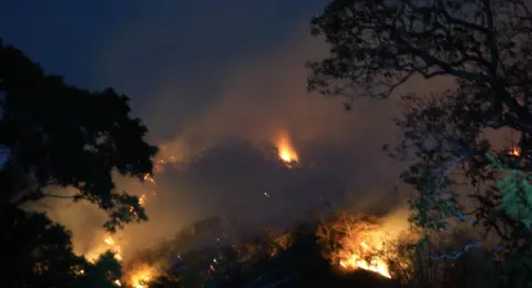 Tolima y Valle luchan contra 10 incendios activos: en Armero el fuego impacta en las veredas Maracaibo, Netú, Playón, Los Trinchos y Santuario