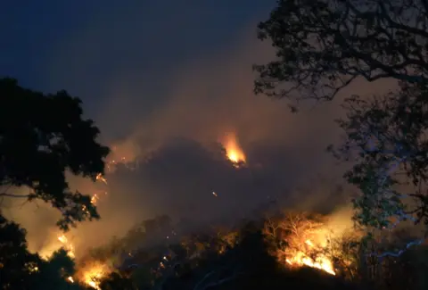 Tolima y Valle luchan contra 10 incendios activos: en Armero el fuego impacta en las veredas Maracaibo, Netú, Playón, Los Trinchos y Santuario