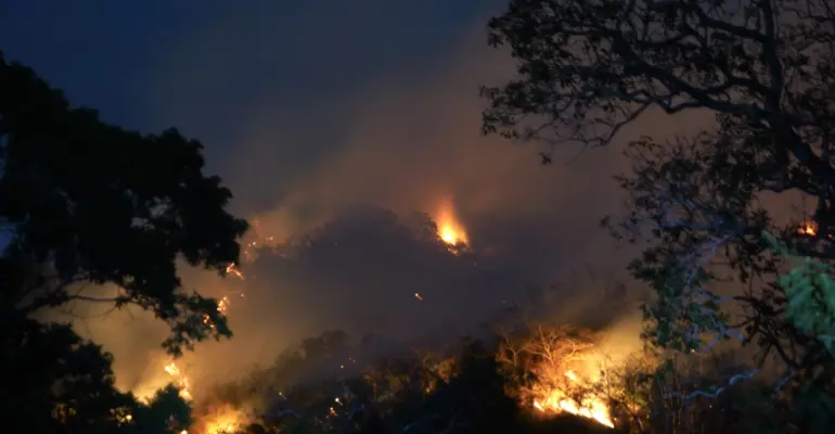 Tolima y Valle luchan contra 10 incendios activos: en Armero el fuego impacta en las veredas Maracaibo, Netú, Playón, Los Trinchos y Santuario