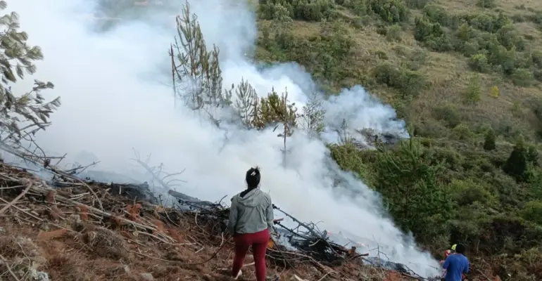 Alerta por incendios forestales en Colombia: 18 siguen activos y Tolima concentra casi la mitad, según la UNGRD