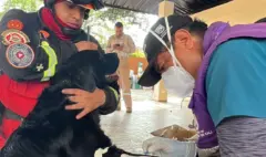 Advierten por presunta estafa con línea de WhatsApp asociada al Centro de Bienestar Animal en Cali: el caso ya está en la Fiscalía