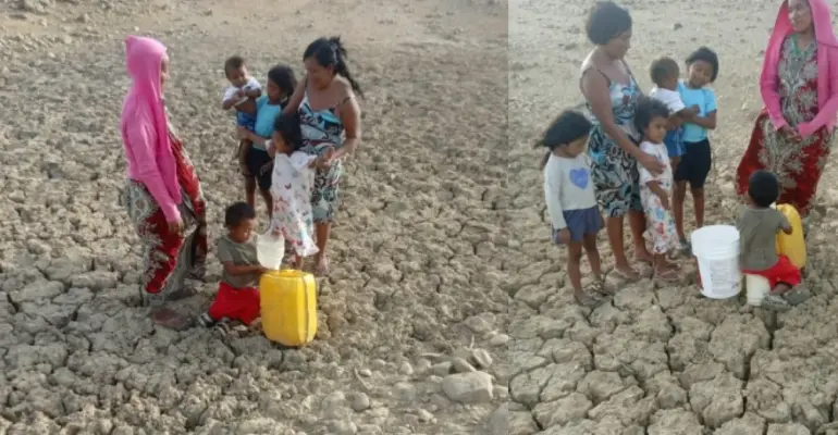 La sed avanza en la Alta Guajira: comunidades wayús excavan la tierra para conseguir agua para beber mientras se les siguen muriendo los animales